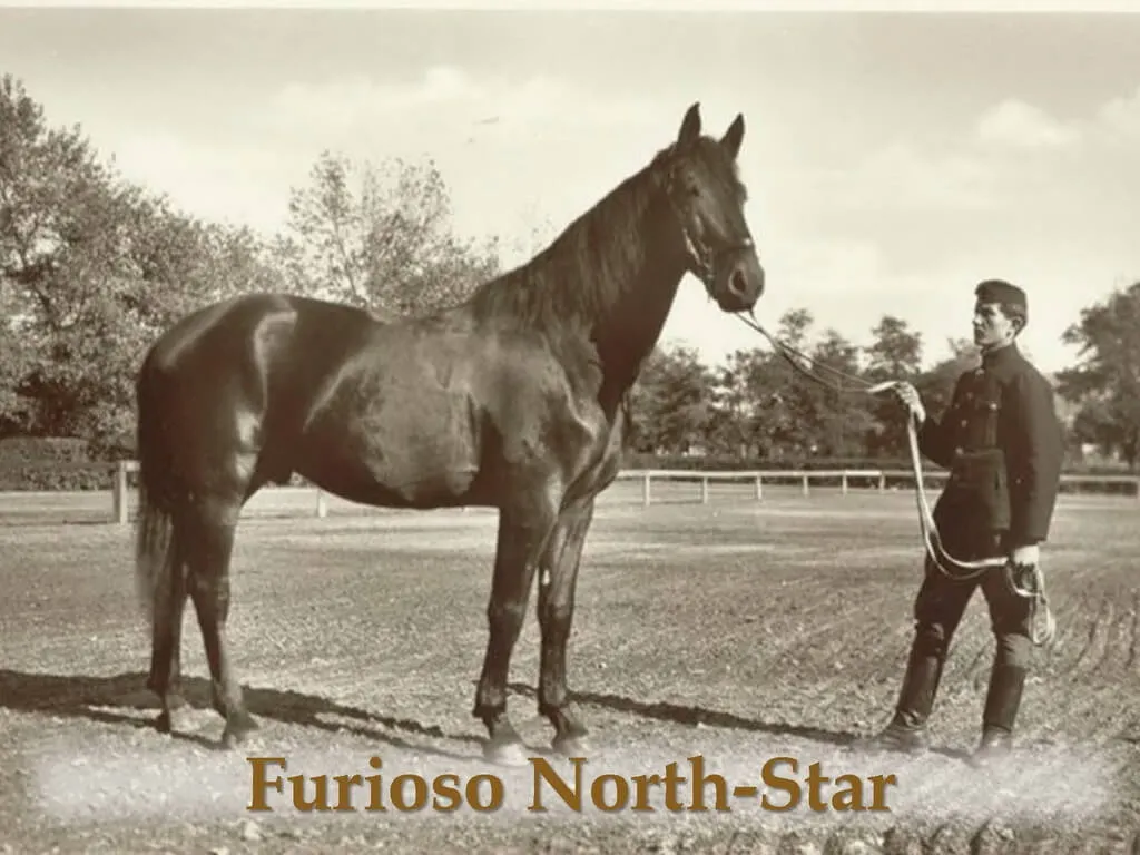 Furioso–North Star