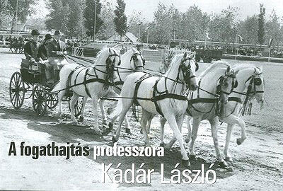 Első magyar hajtóként nyerte a nagy rangot adó, híres Hamburgi Hajtó Derby-t /1967/