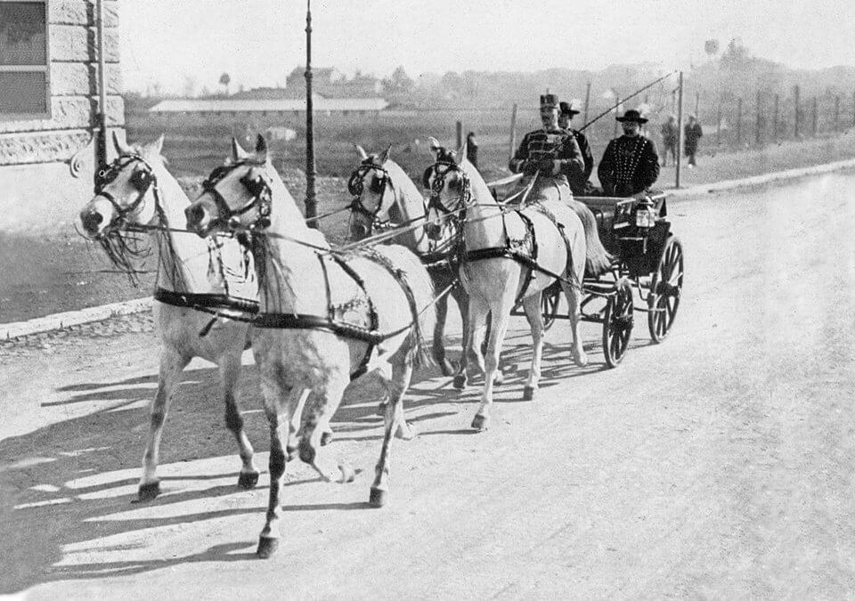 2. ábra Pettkó-Szandtner Tibor”légies járású, egységes küllemű, jó természetű” lovai testvérek voltak.