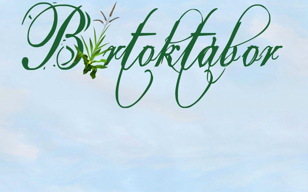 BIRTOKTÁBOR