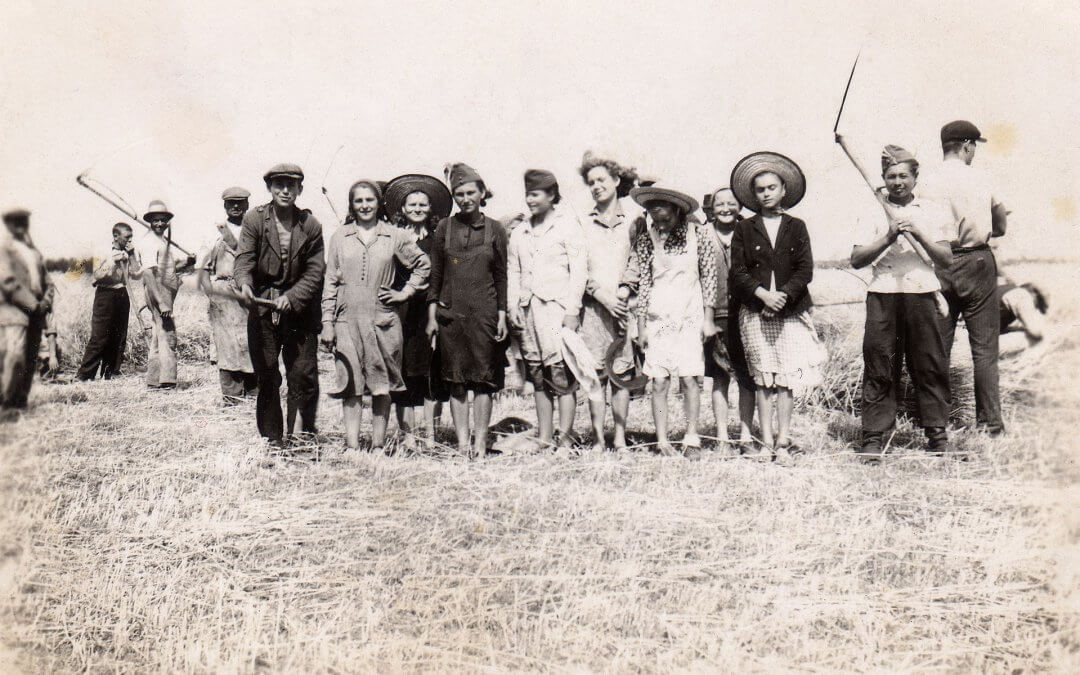 A mezőhegyesi ménesbirtok szegődményes cselédségének szolgálati szabályai