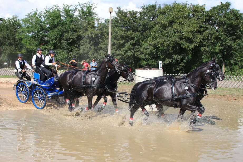 Szép győzelmek fényesítik a mezőhegyesi lovassportot. Papp János sikere reménykeltő /Fotók: BMH/